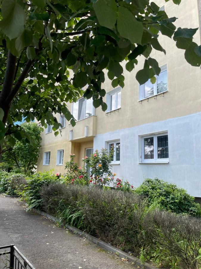 Ego Deluxe Apartment - Central Location Sibiu Eksteriør billede